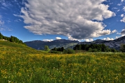 IMG_4710-hdr.jpg