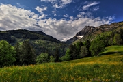IMG_4713-hdr.jpg