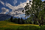 IMG_4716-hdr.jpg