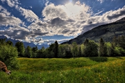 IMG_4719-hdr.jpg