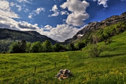 IMG_4722-hdr.jpg