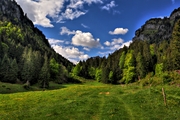 IMG_4737-hdr.jpg
