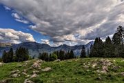 IMG_4740-hdr.jpg