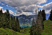 IMG_4746-hdr.jpg
