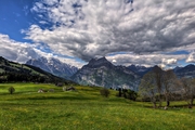 IMG_4770-hdr.jpg