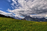 IMG_4773-hdr.jpg