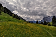 IMG_4788-hdr.jpg