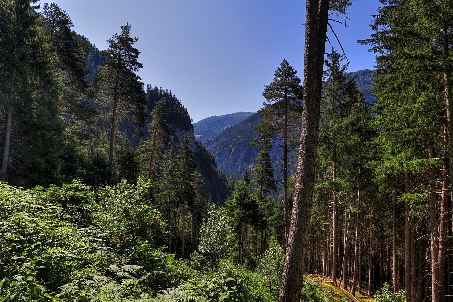 IMG_6602-hdr.jpg