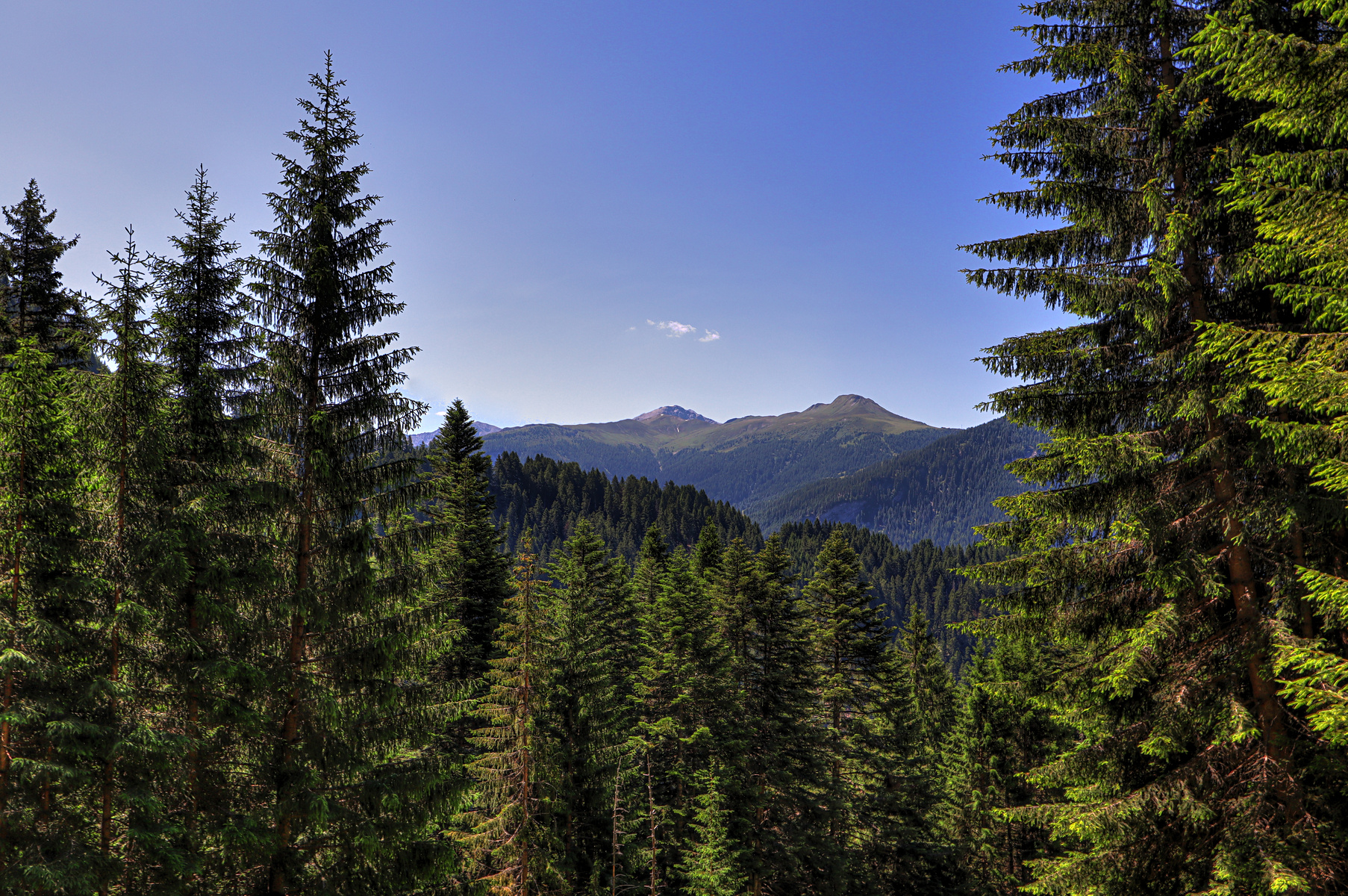 IMG_6611-hdr.jpg