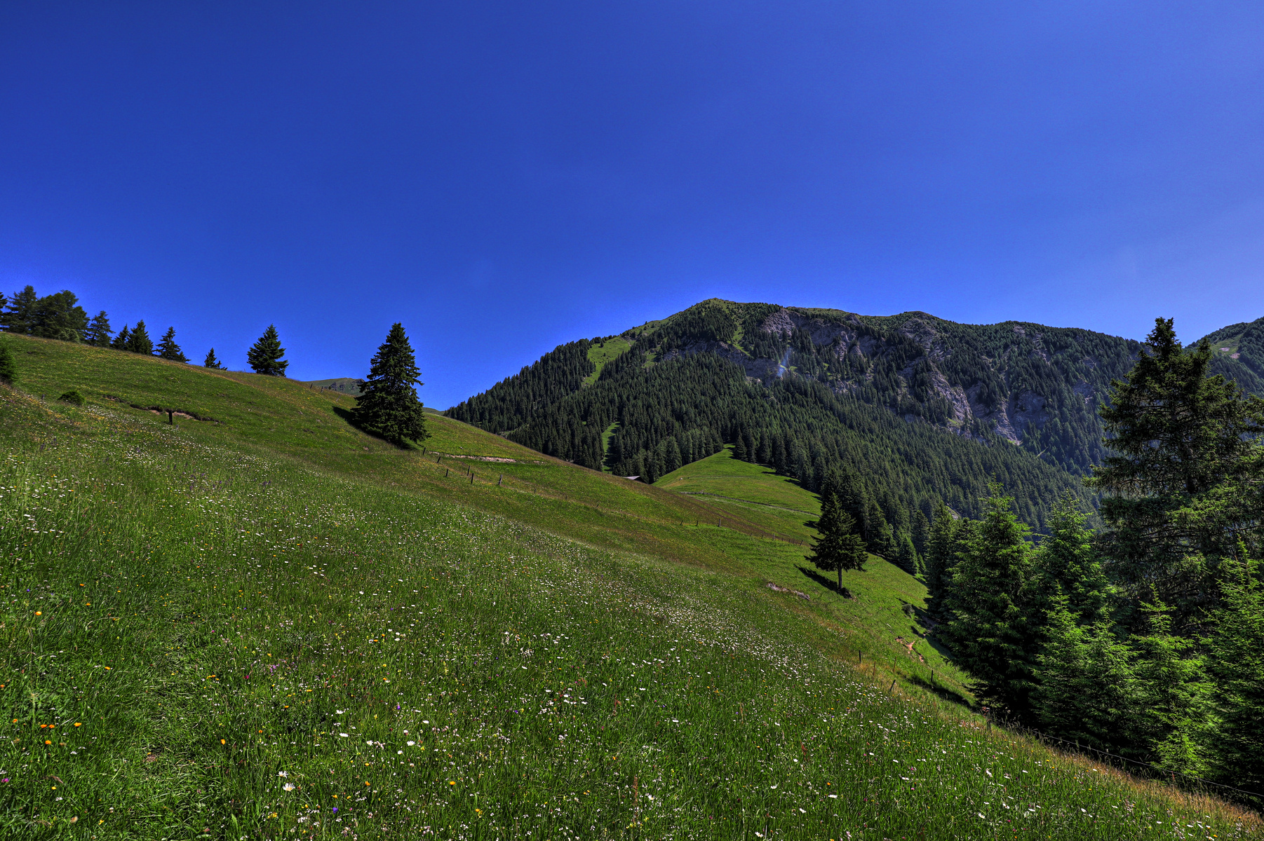 IMG_6622-hdr.jpg