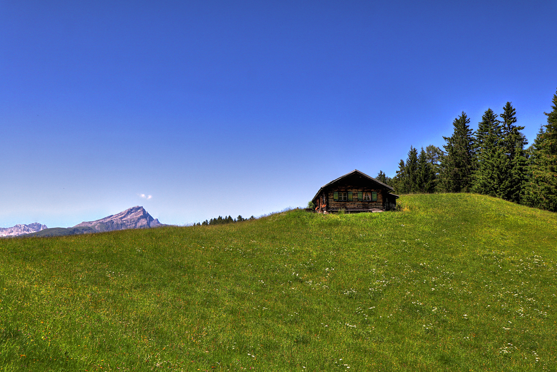 IMG_6628-hdr.jpg