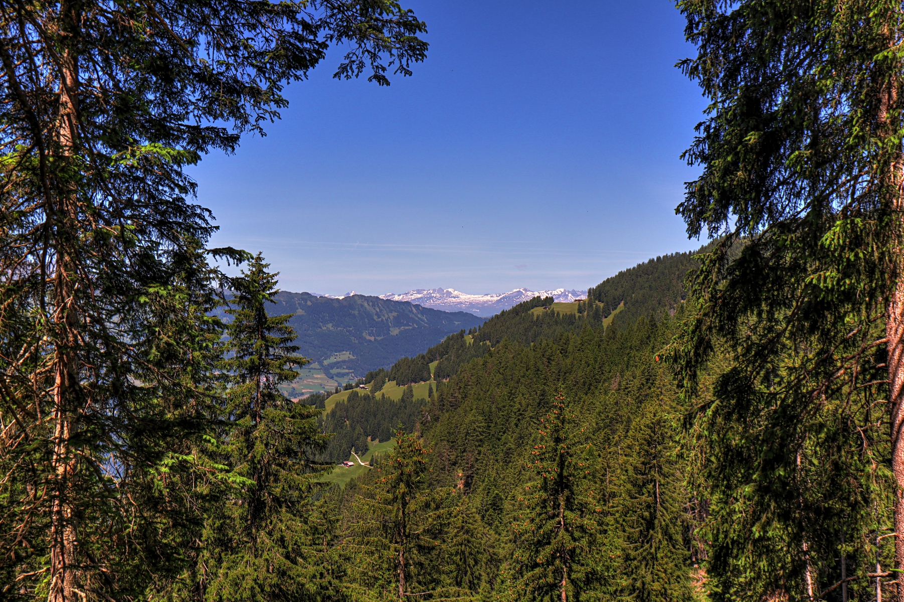 IMG_6631-hdr.jpg