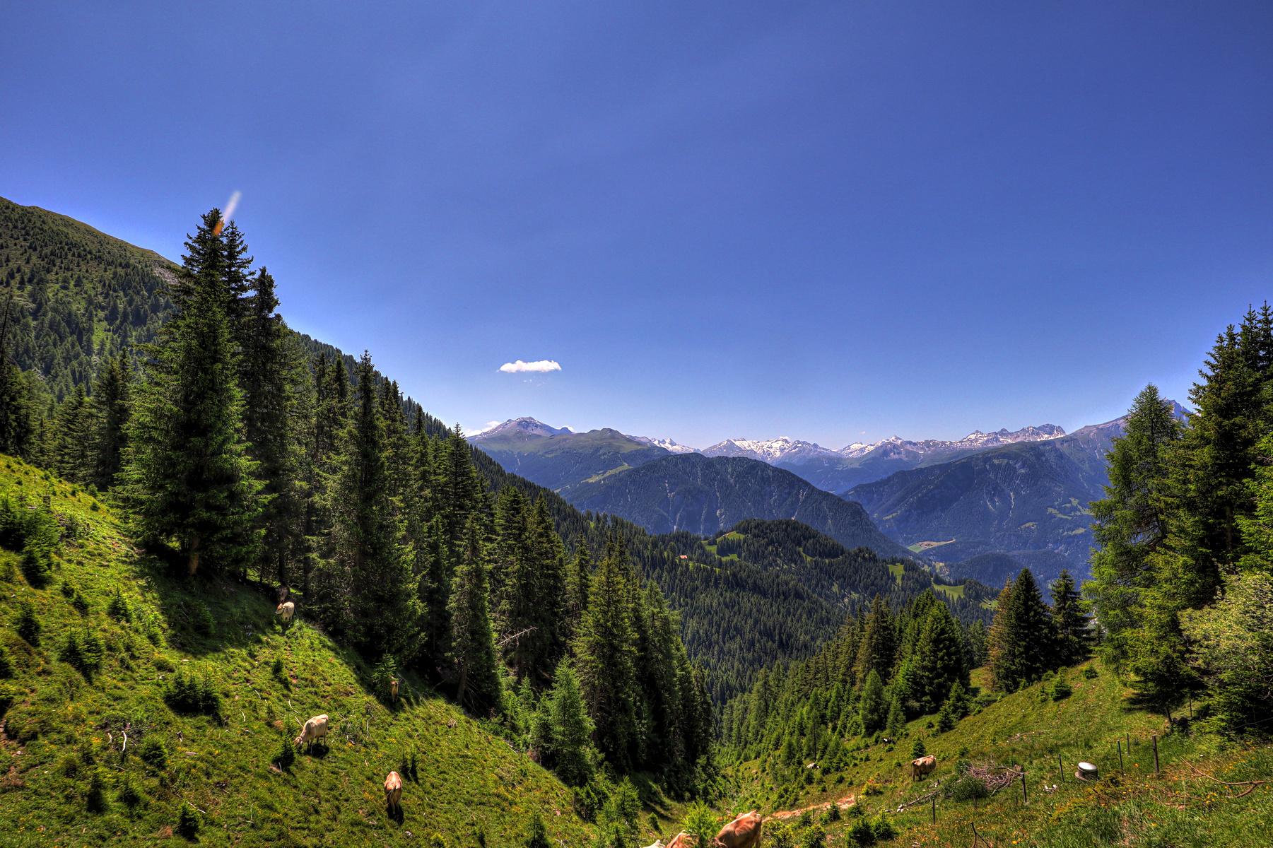IMG_6658-hdr.jpg