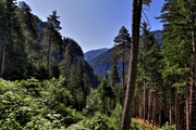 IMG_6602-hdr.jpg