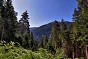 IMG_6605-hdr.jpg