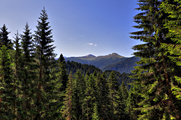 IMG_6611-hdr.jpg