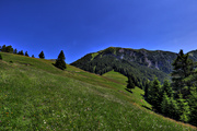 IMG_6622-hdr.jpg
