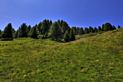 IMG_6688-hdr.jpg