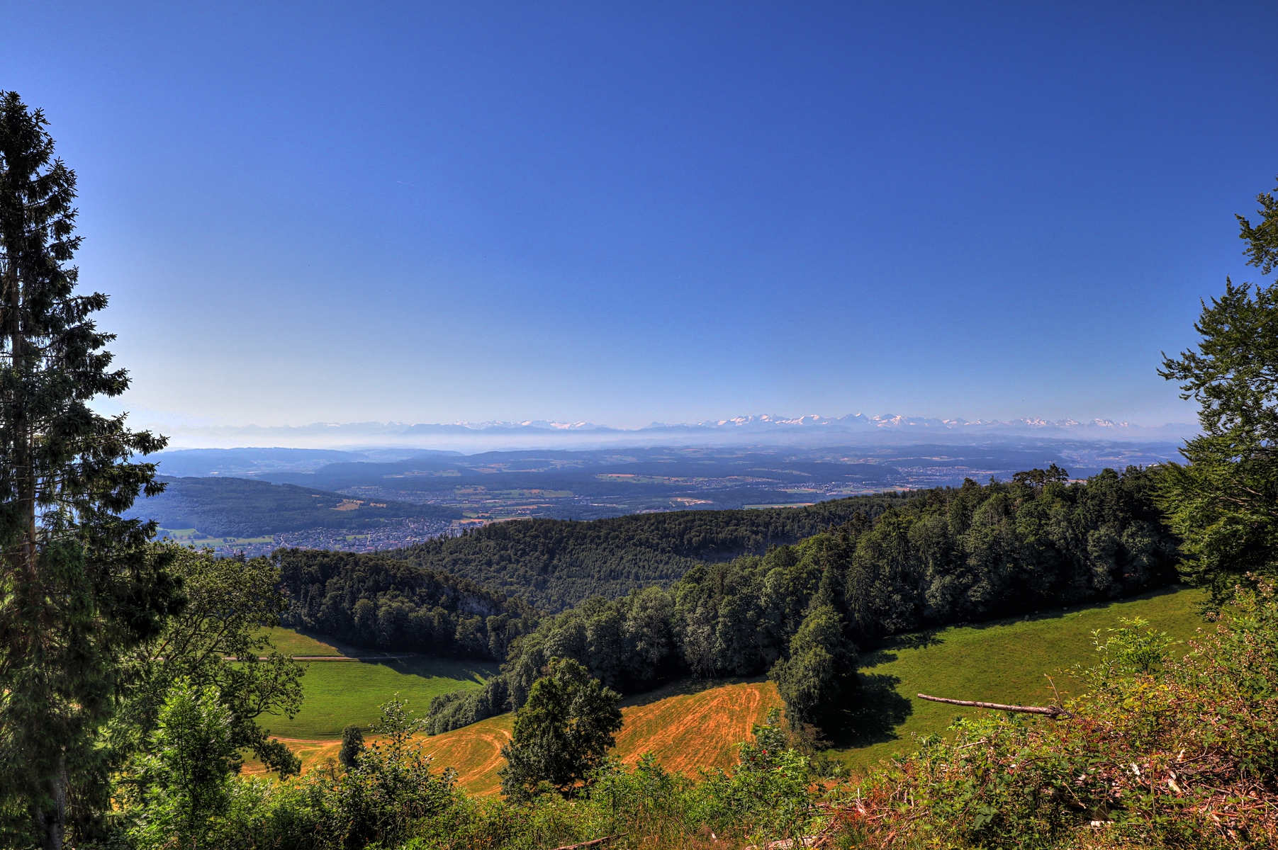 IMG_6694-hdr.jpg