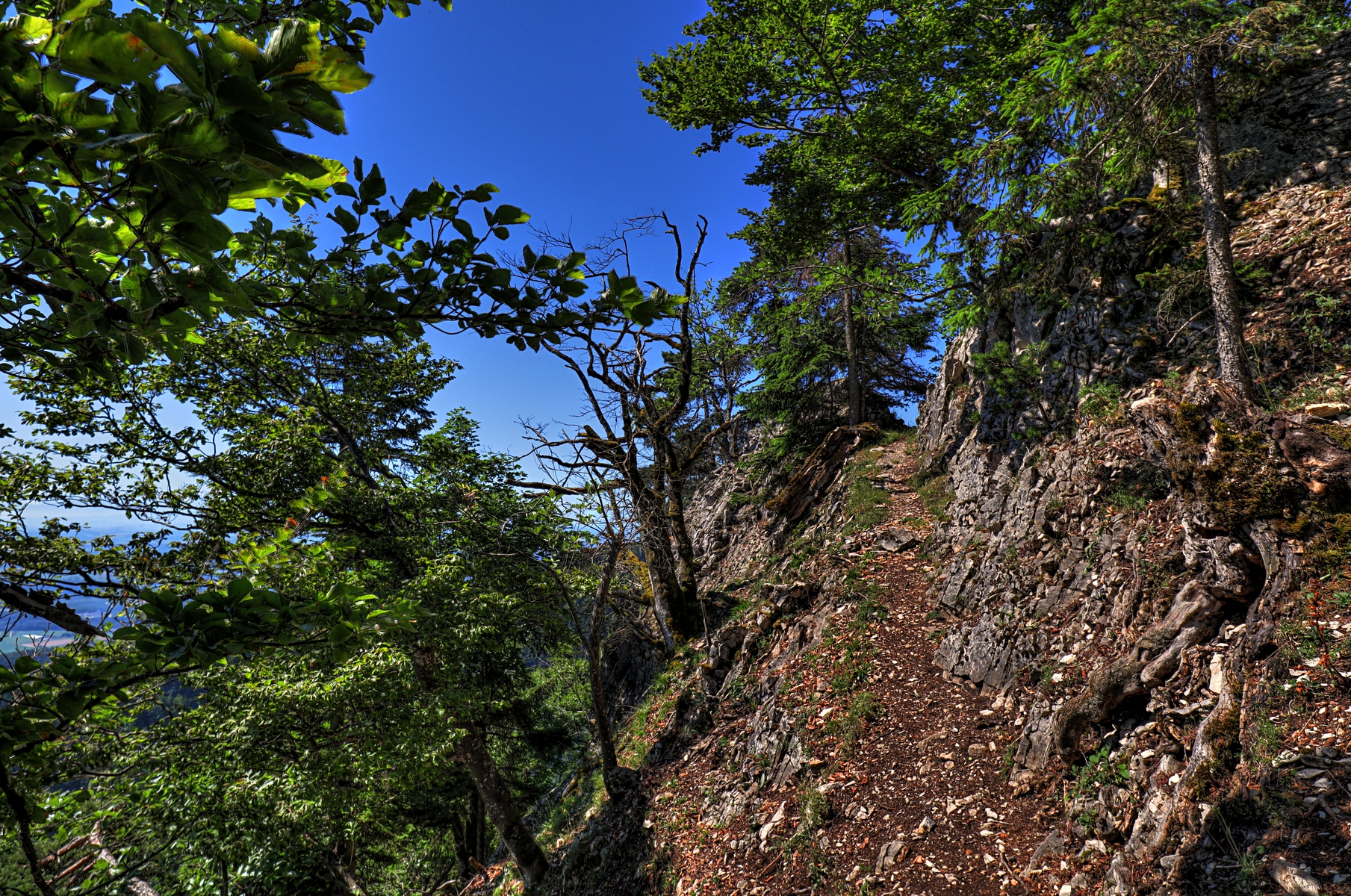 IMG_6718-hdr.jpg