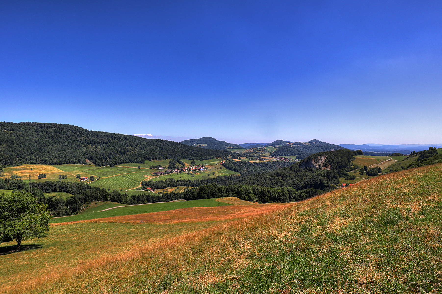 IMG_6781-hdr.jpg