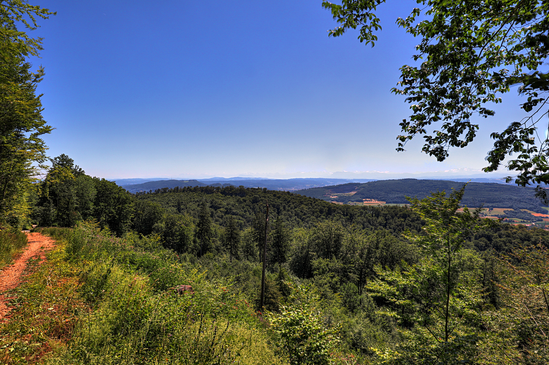 IMG_6784-hdr.jpg