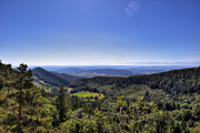 IMG_6697-hdr.jpg