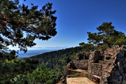 IMG_6703-hdr.jpg