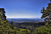 IMG_6709-hdr.jpg