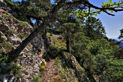 IMG_6712-hdr.jpg