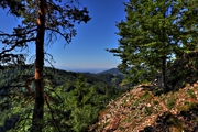 IMG_6715-hdr.jpg