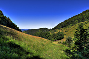 IMG_6727-hdr.jpg