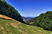 IMG_6730-hdr.jpg