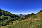 IMG_6733-hdr.jpg