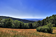 IMG_6769-hdr.jpg