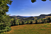 IMG_6772-hdr.jpg