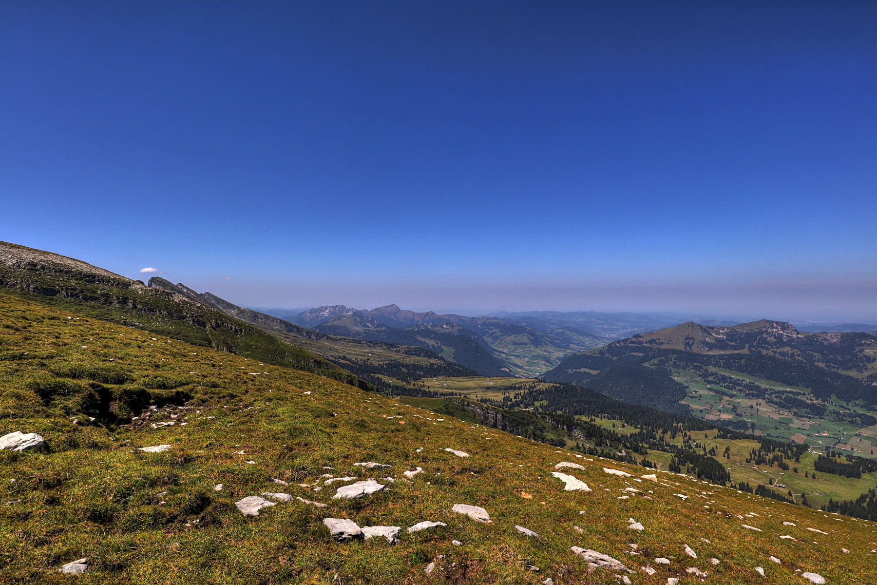 IMG_6877-hdr.jpg