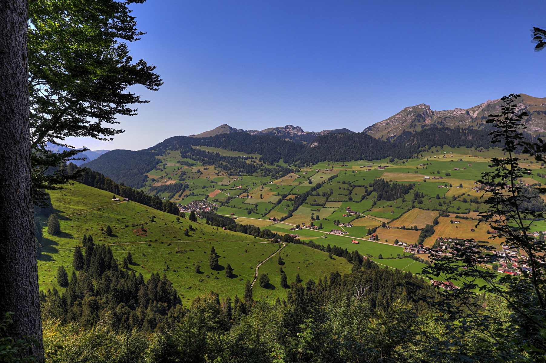 IMG_6880-hdr.jpg