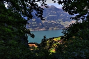 IMG_6796-hdr.jpg