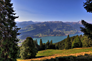 IMG_6802-hdr.jpg
