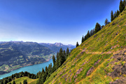 IMG_6841-hdr.jpg