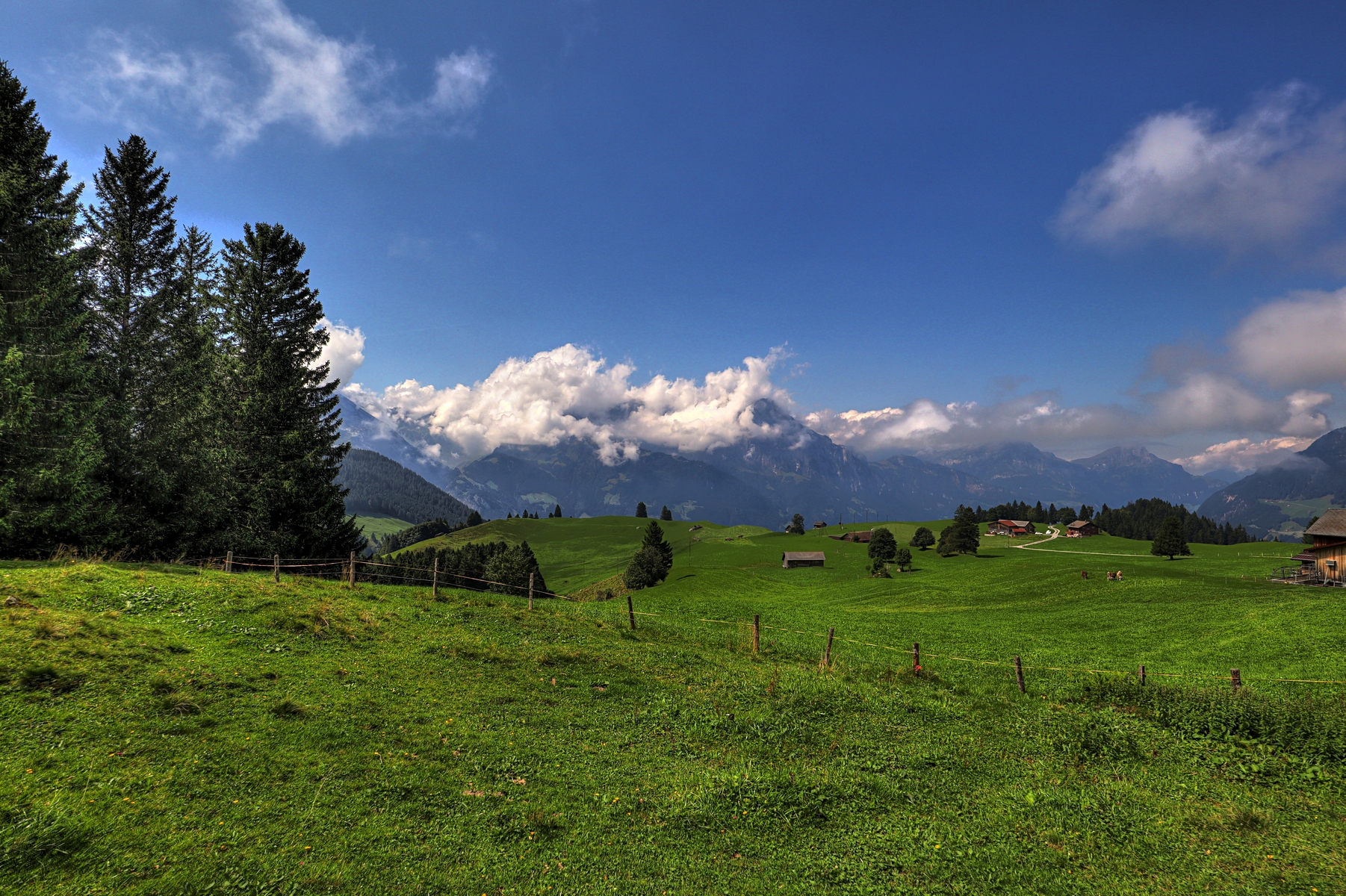 IMG_7054-hdr.jpg