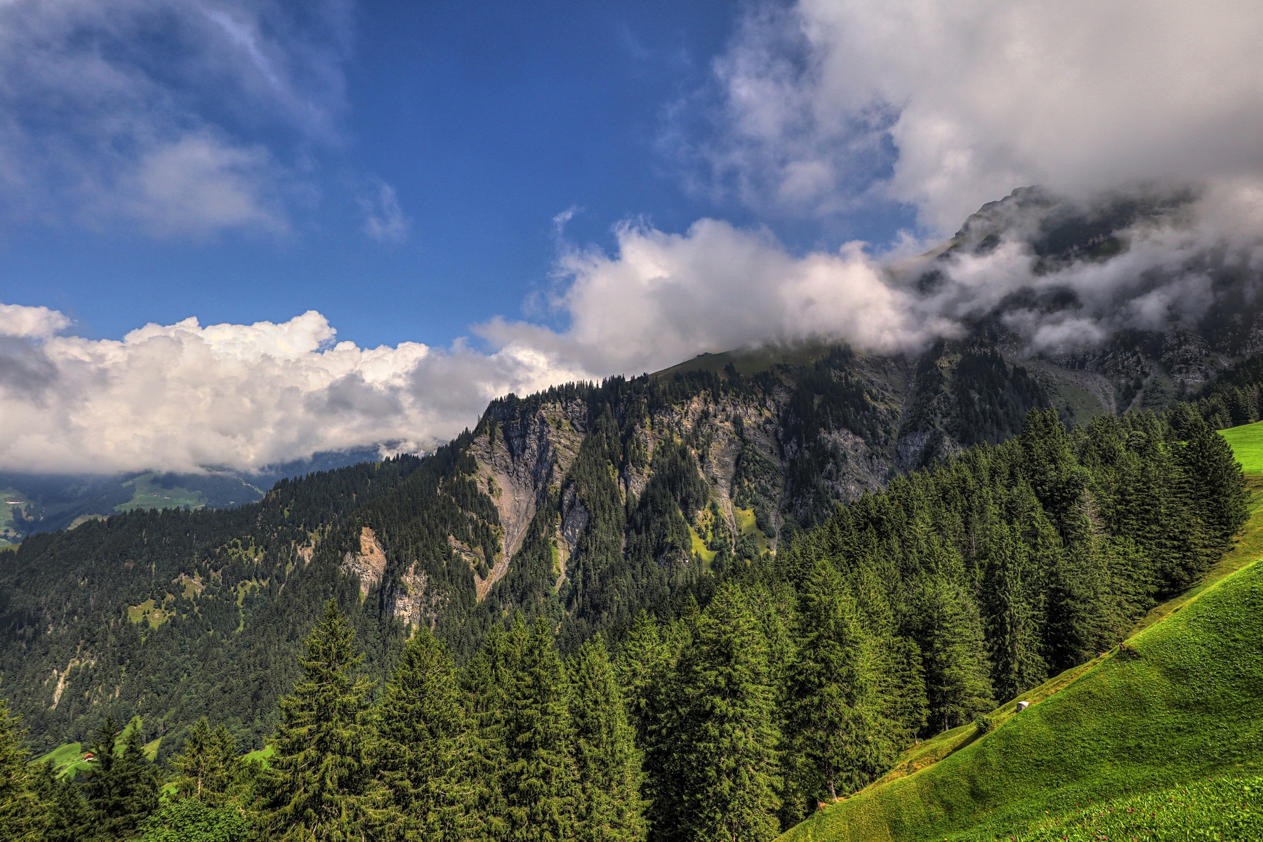 IMG_7063-hdr.jpg
