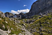 IMG_7027-hdr.jpg