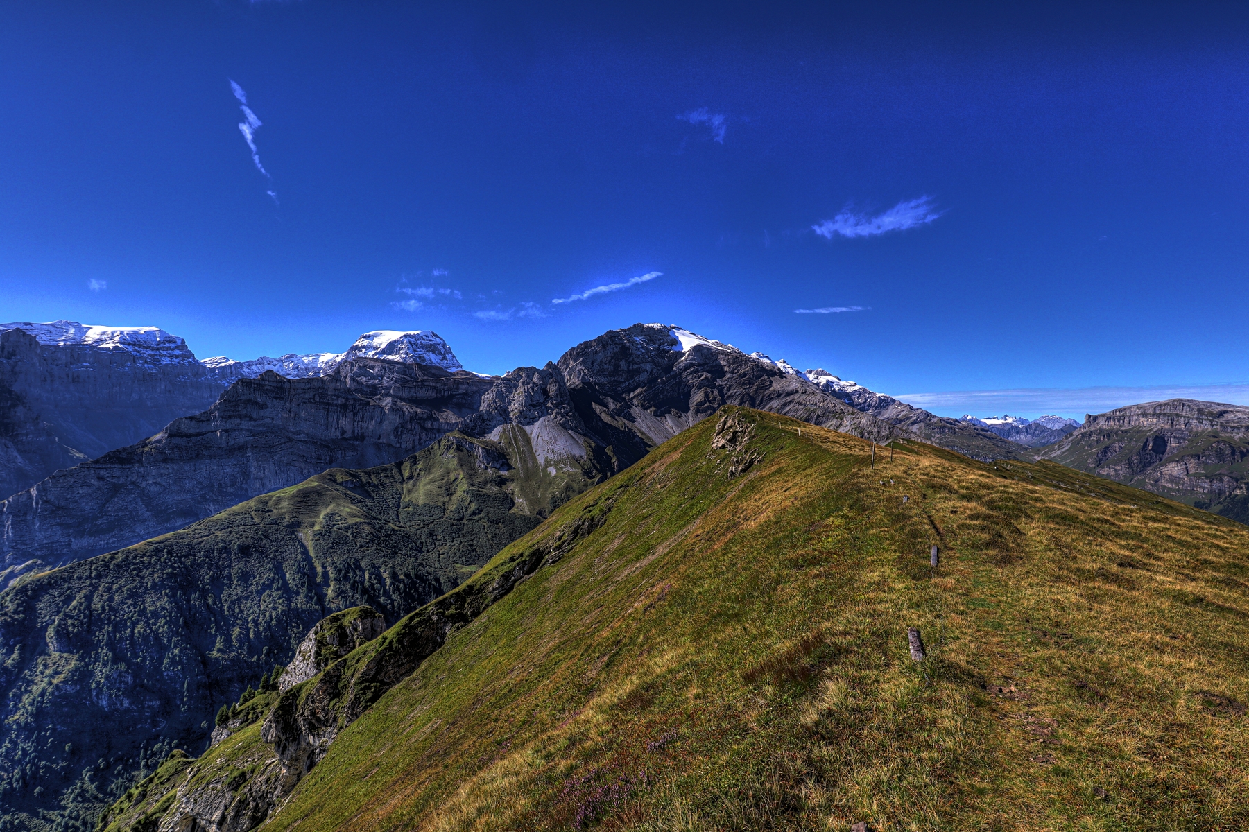 IMG_7246-hdr.jpg