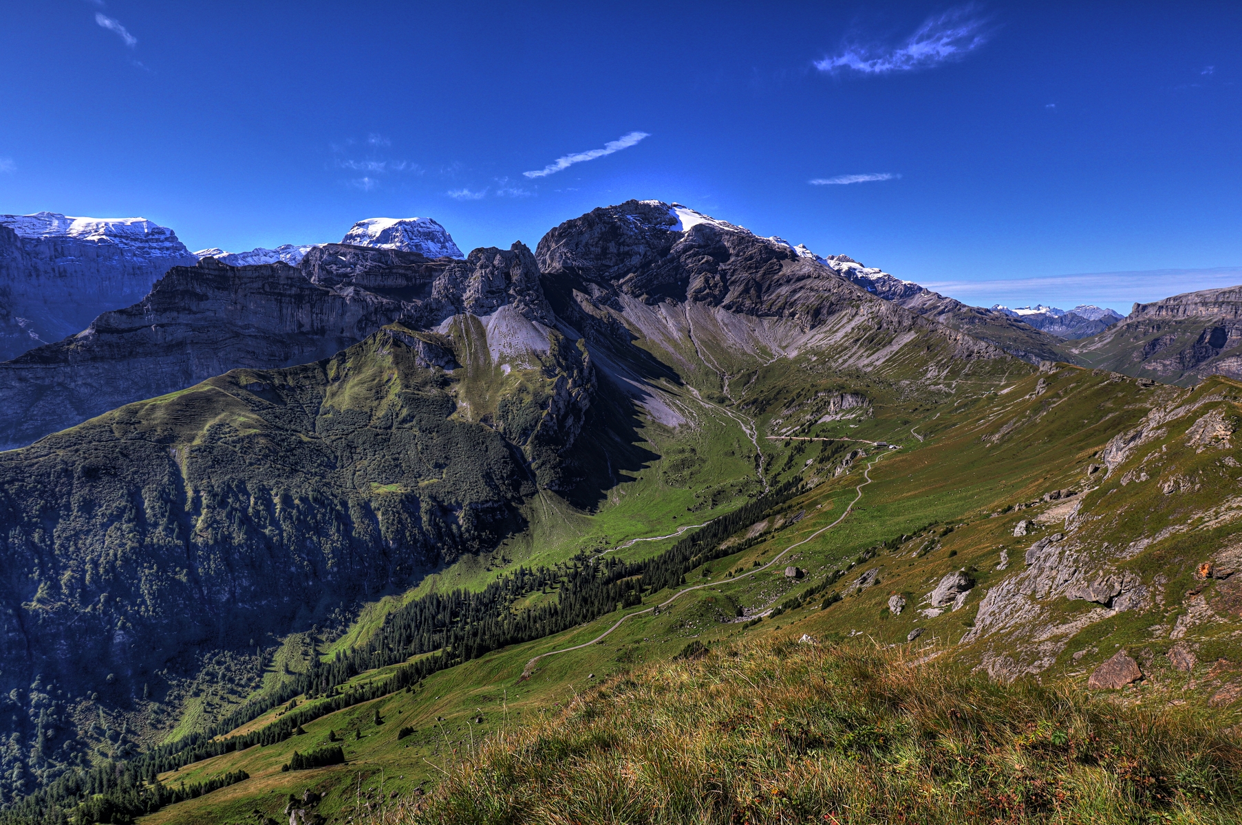 IMG_7261-hdr.jpg