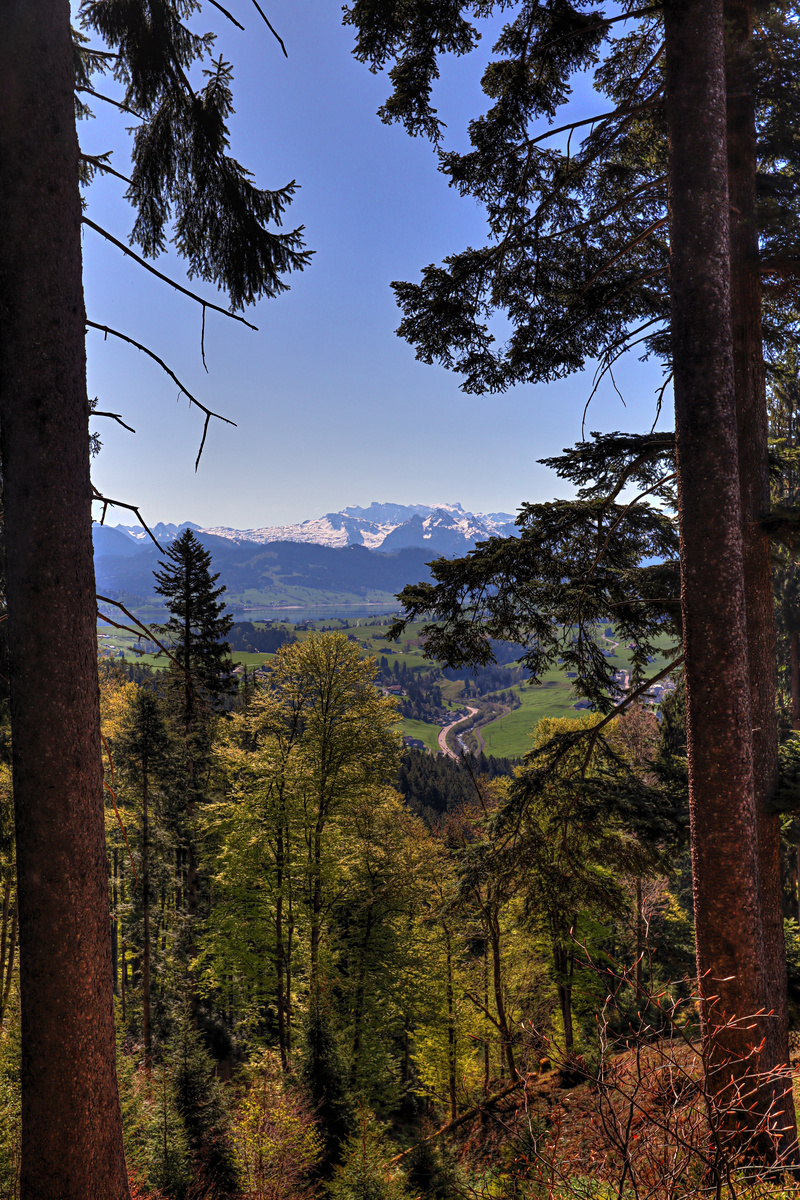 IMG_0000a-hdr.jpg