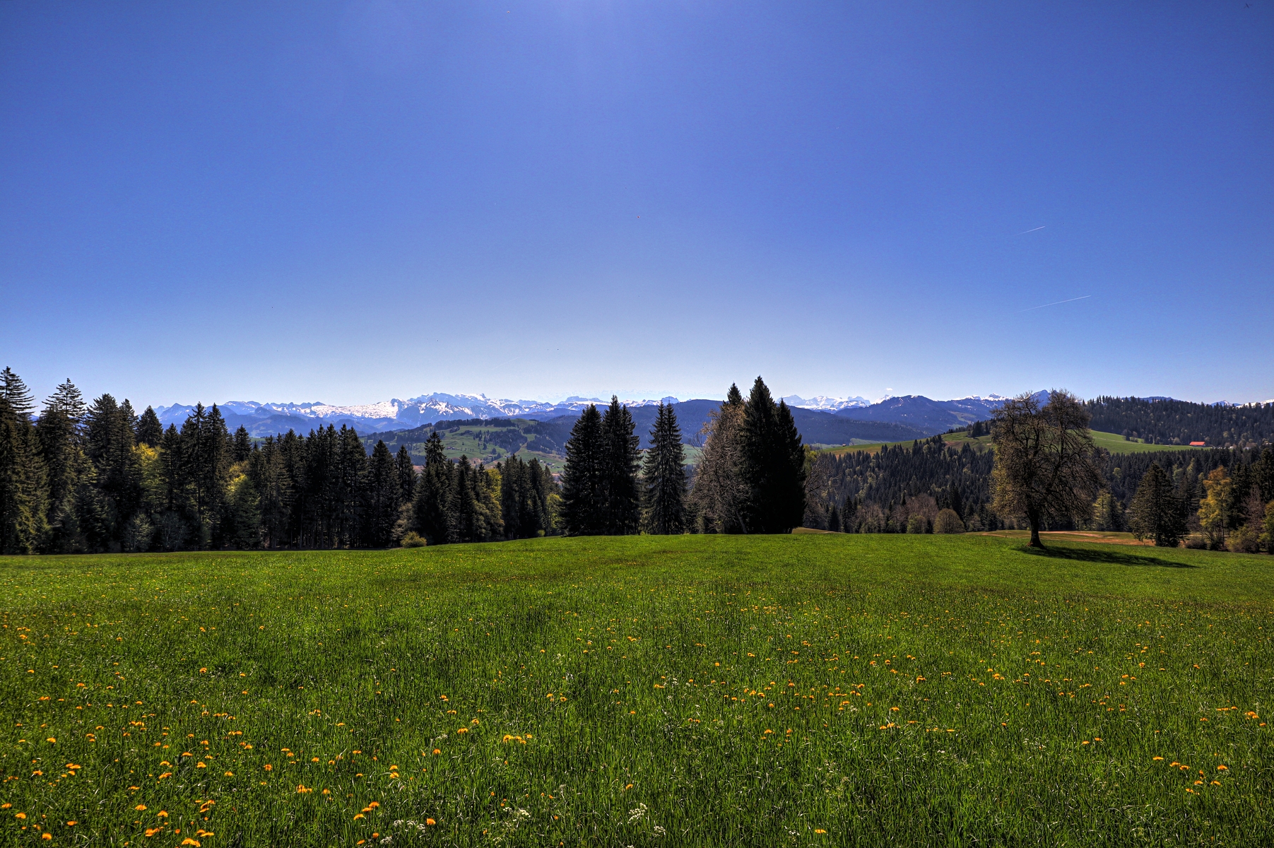 IMG_0000c-hdr.jpg