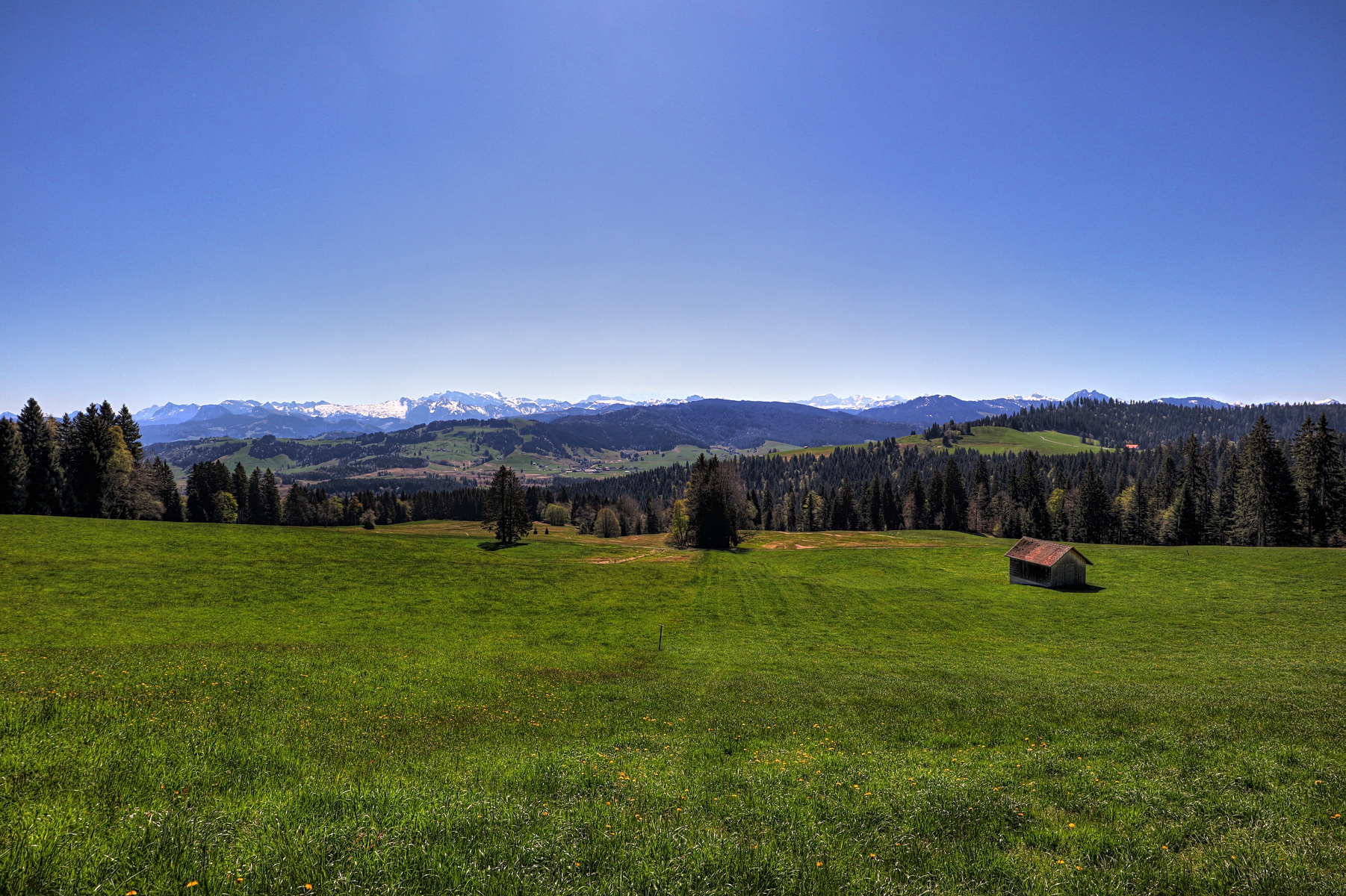 IMG_0000d-hdr.jpg