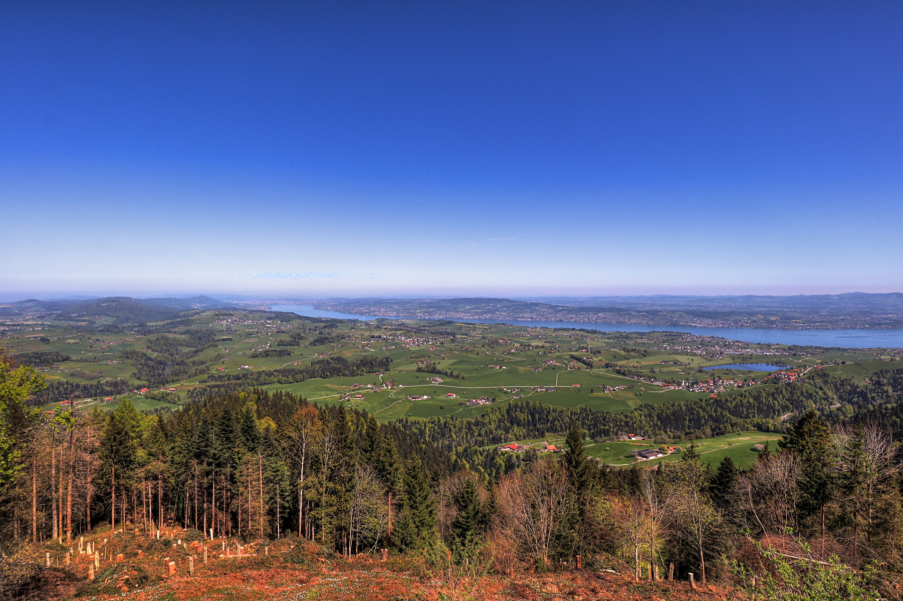 IMG_0000e-hdr.jpg
